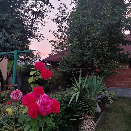 Apartman Kulenovic Kulen Vakuf Exterior photo